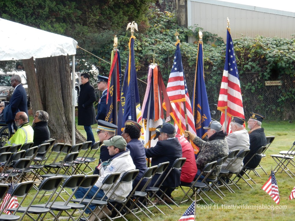 Veterans Day 11-10-17 8