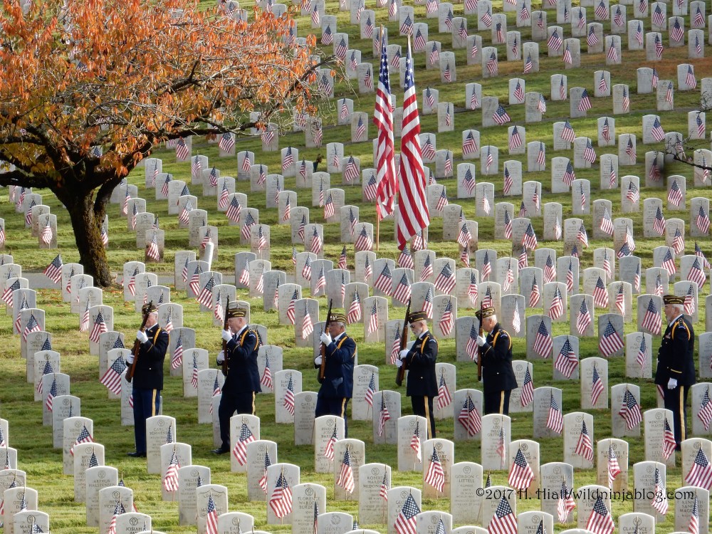 Veterans Day 11-10-17 9
