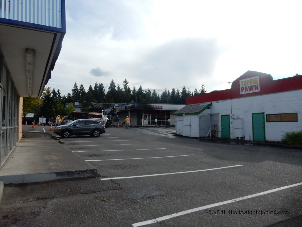 Kirkland Fire 9-12-18 10