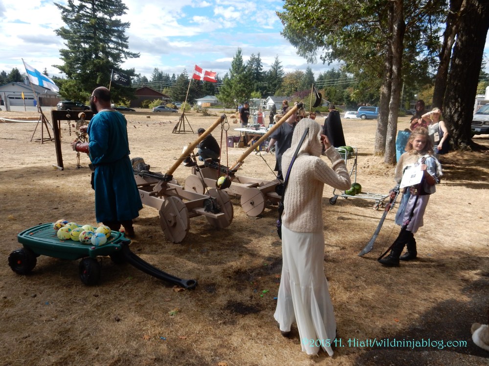 Rainier Viking Festival 2018 23
