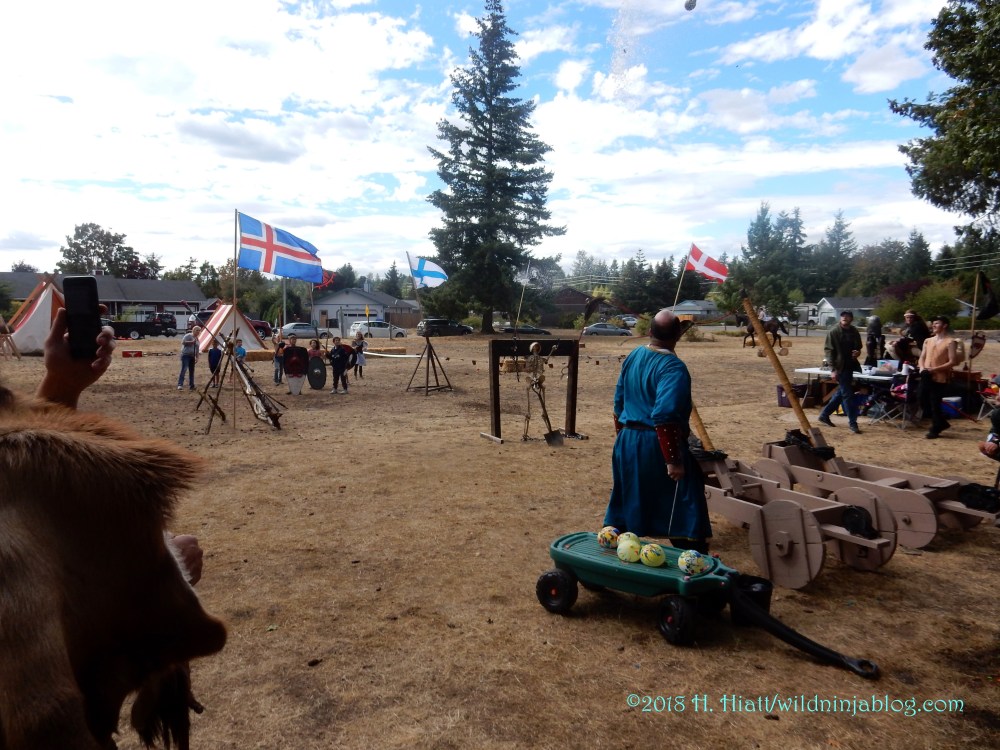 Rainier Viking Festival 2018 29